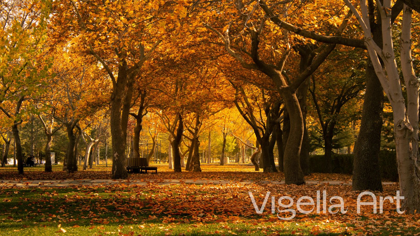 3. čakra – solar plexus: pozdné leto, trávenie a vnútorná sila