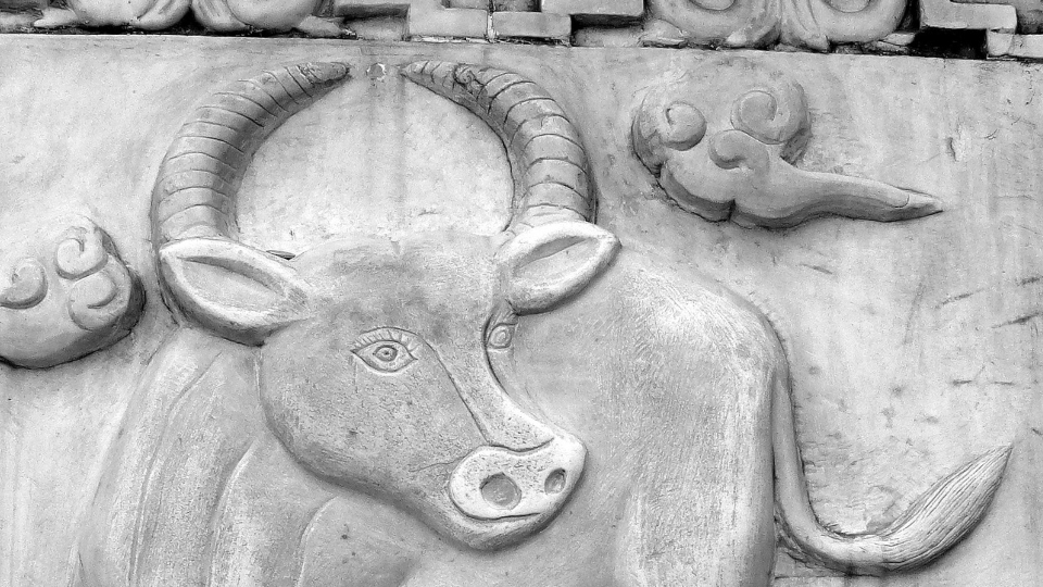 Rok kovového byvola 2021