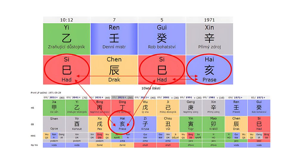 kolize had a kanec v roce hada 2025