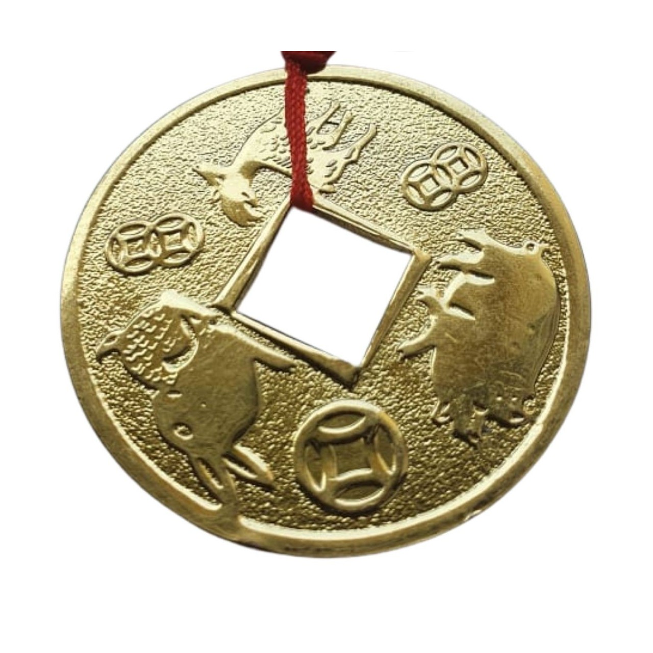 priatelia zajac koza prasa