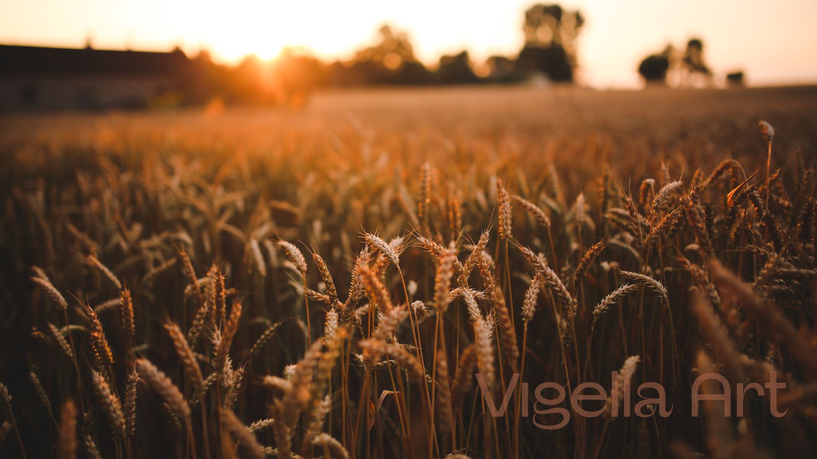 Solární čínský kalendář: základ pro feng shui a BaZi